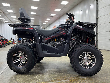 Квадроцикл PROMAX RENEGADE 300 LONG WINCH PRO (2025)