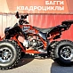 Квадроцикл PROMAX SPAWN 190 PRO (LIMITED EDITION)