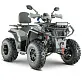 Квадроцикл YACOTA VIKING PRO 250