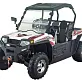 Багги SPORT UTV Strike 250
